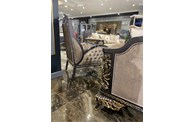 PARİS LUXURY AVANGARDE KOLTUK TAKIMI